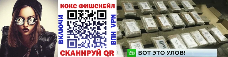 Кокаин FishScale  купить наркоту  мега сайт  Саяногорск 
