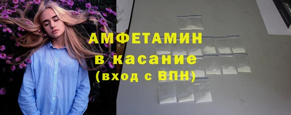индика Аркадак
