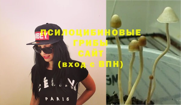 эйфоретик Арсеньев