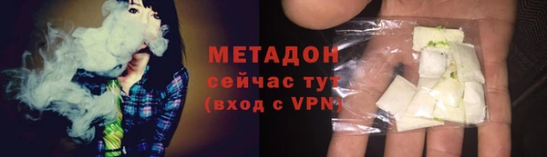 индика Аркадак