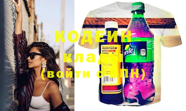 индика Аркадак