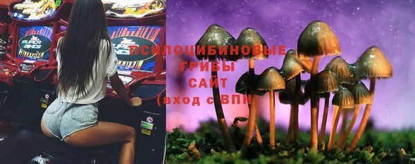 ПСИЛОЦИБИНОВЫЕ ГРИБЫ Армянск