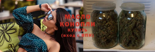 сатива Горняк